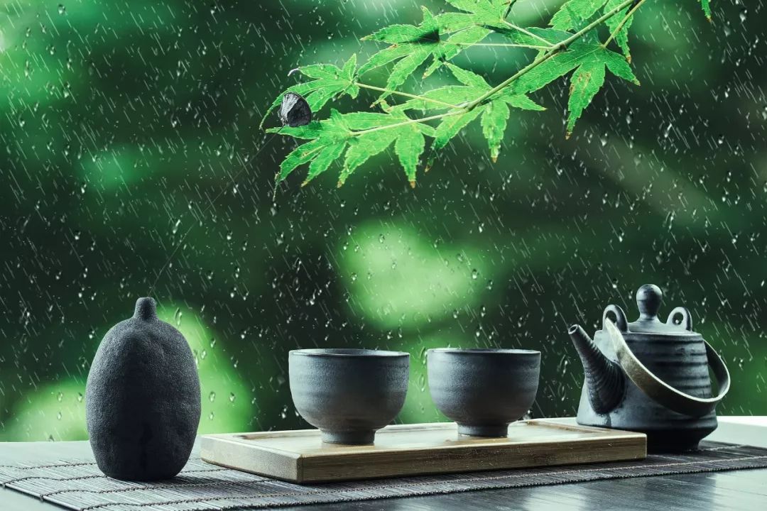 穀雨品茶讀詩告別春天珍重美好