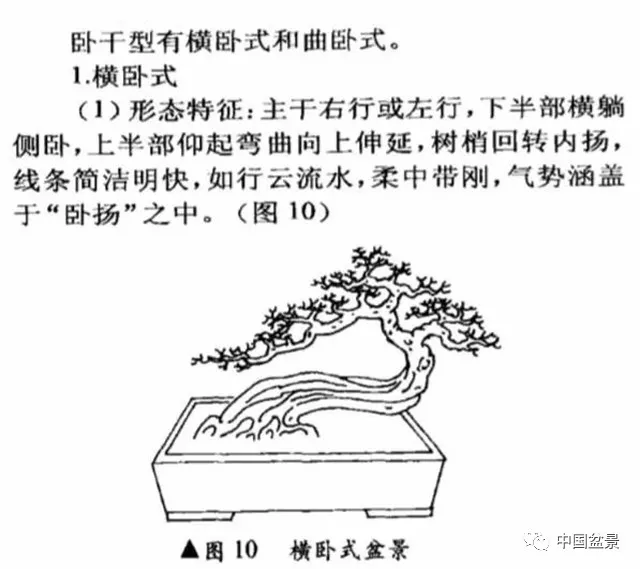 15种盆景制作图解图片