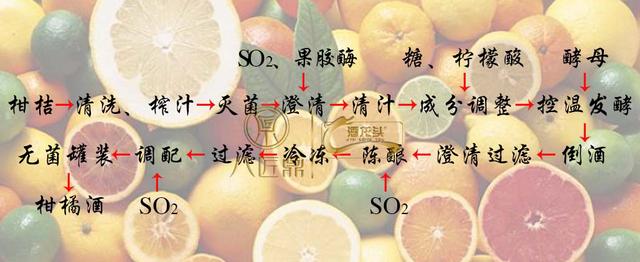 果酒酿造工艺柑橘发酵法