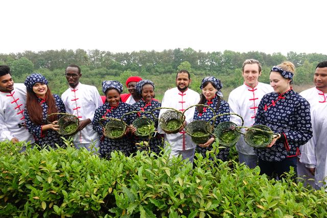 出彩大别山嗨玩南湾湖2019信阳南湾湖第七届彩茶节盛大开幕