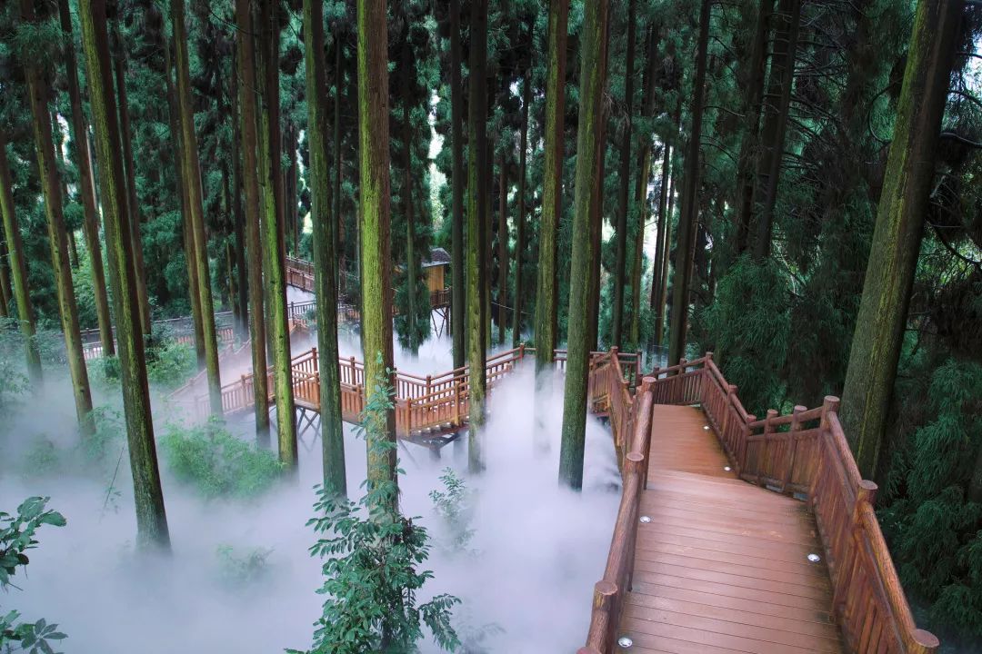 康養中國洪雅峨眉半山七里坪森林康養旅遊度假區