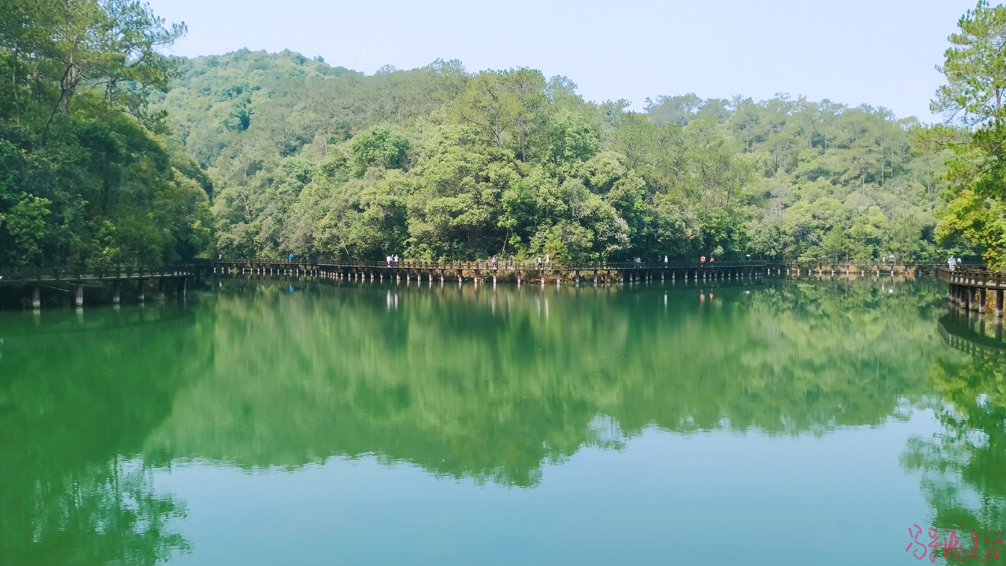 手机摄影普洱梅子湖公园