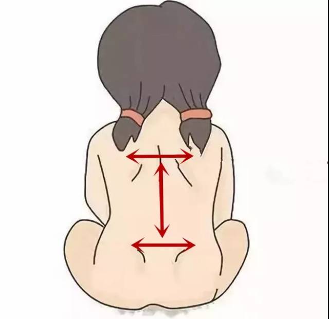位置:如圖,在上背部,脊柱以及腰部畫