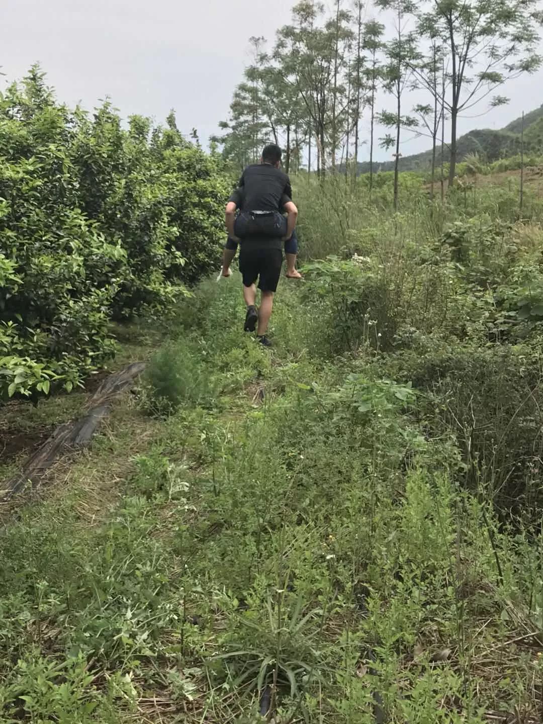 灌陽人克山上千萬要注意腳下,已經有人被夾了,嚴重的可能會致殘!