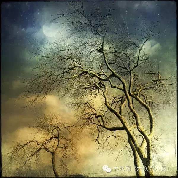 非绘画的光影梦幻 —— 荷兰摄影师 hendrik 印象派风格摄影作品