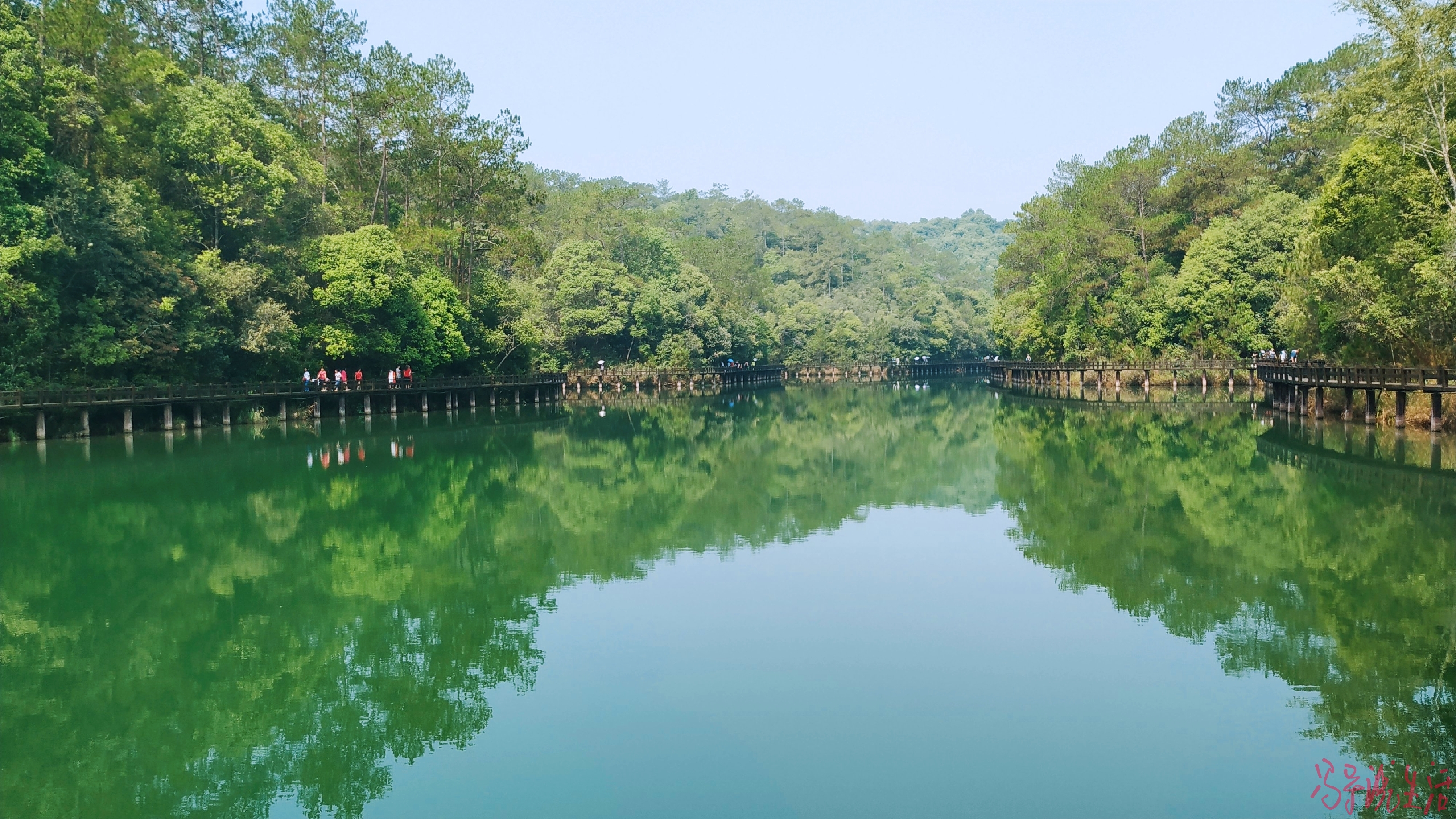 手机摄影普洱梅子湖公园