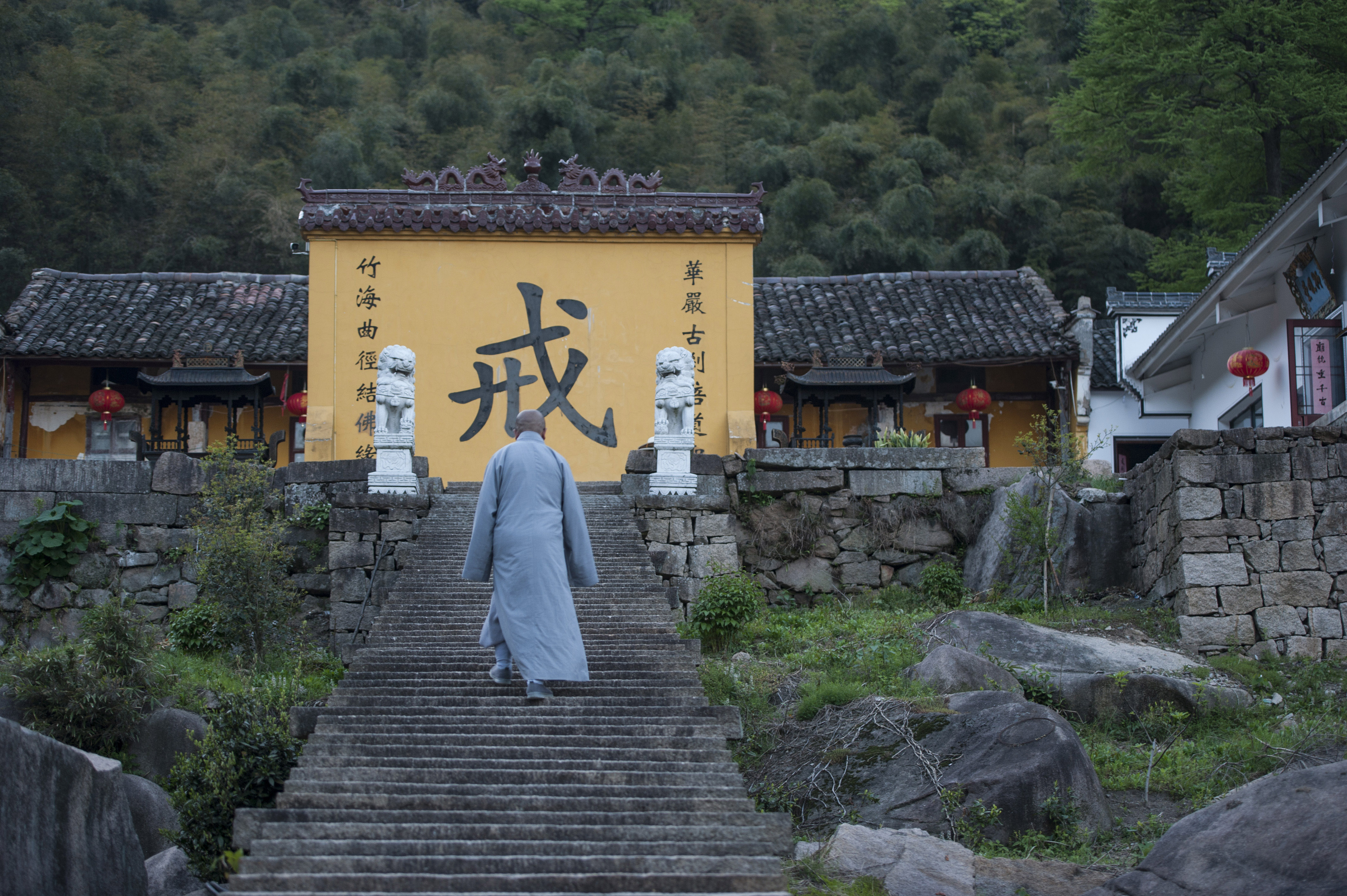 谷雨前探访安徽九华山翠峰寺