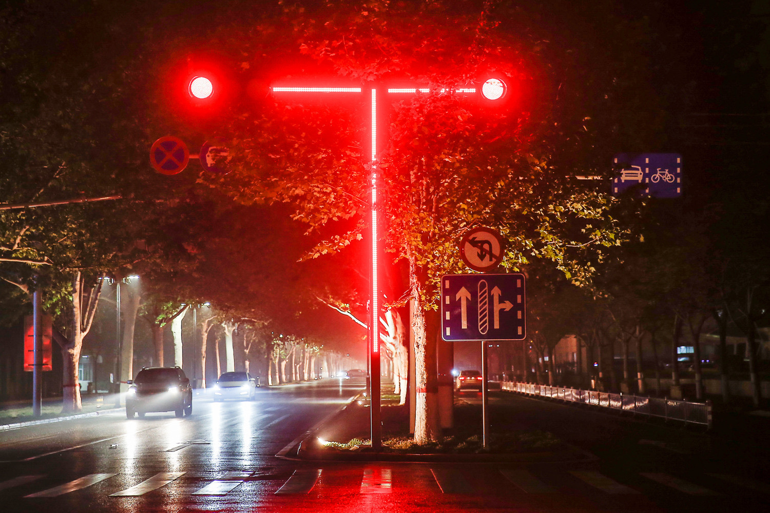 夜晚人行道红绿灯图片图片