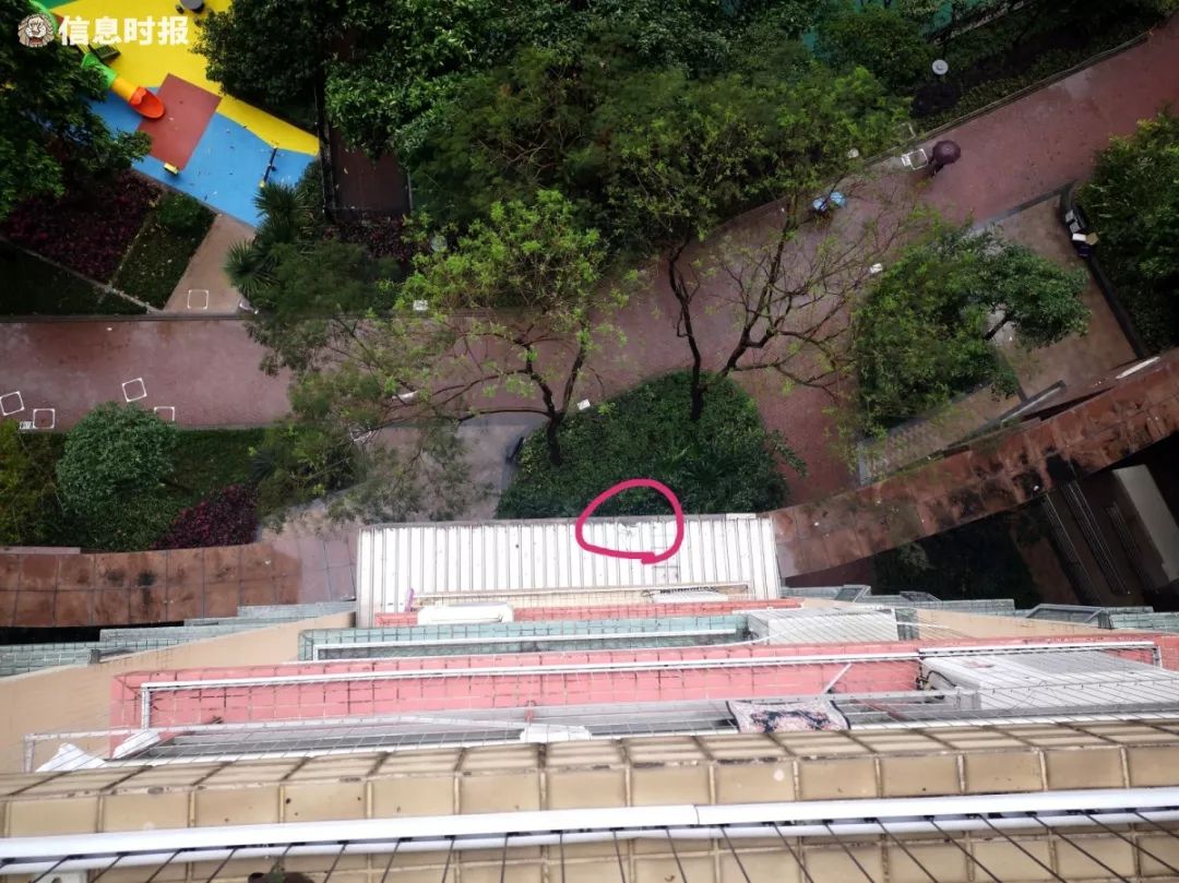 邻居含泪逐楼敲门找家长,但最惊人的是