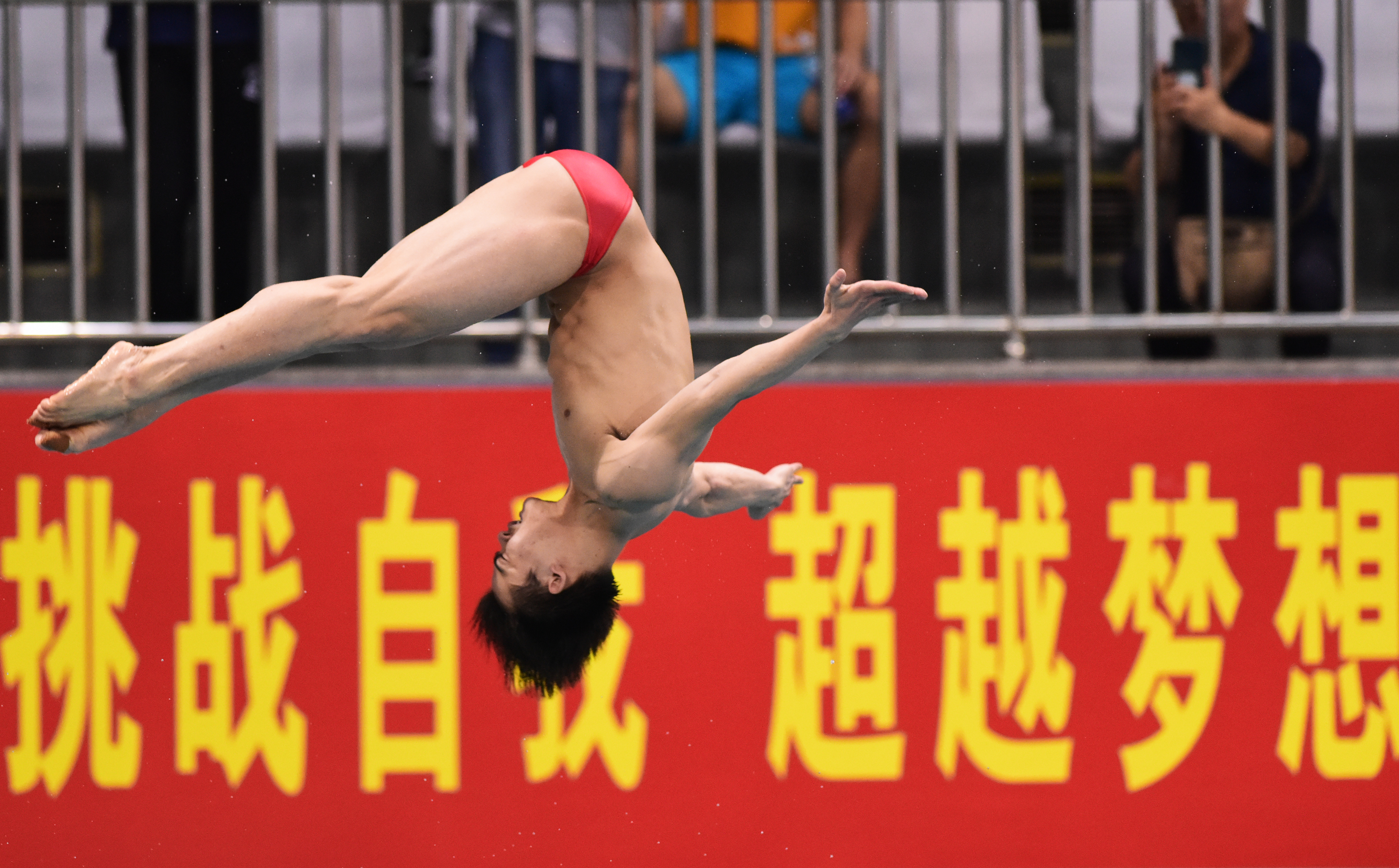 中国男子跳水最帅队员图片