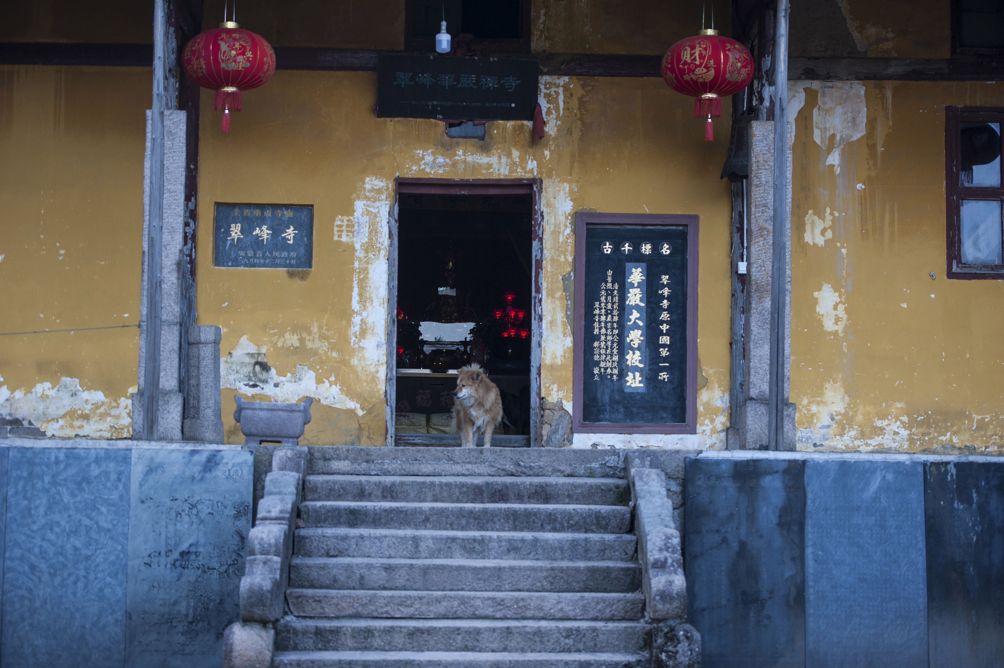 谷雨前探访安徽九华山翠峰寺