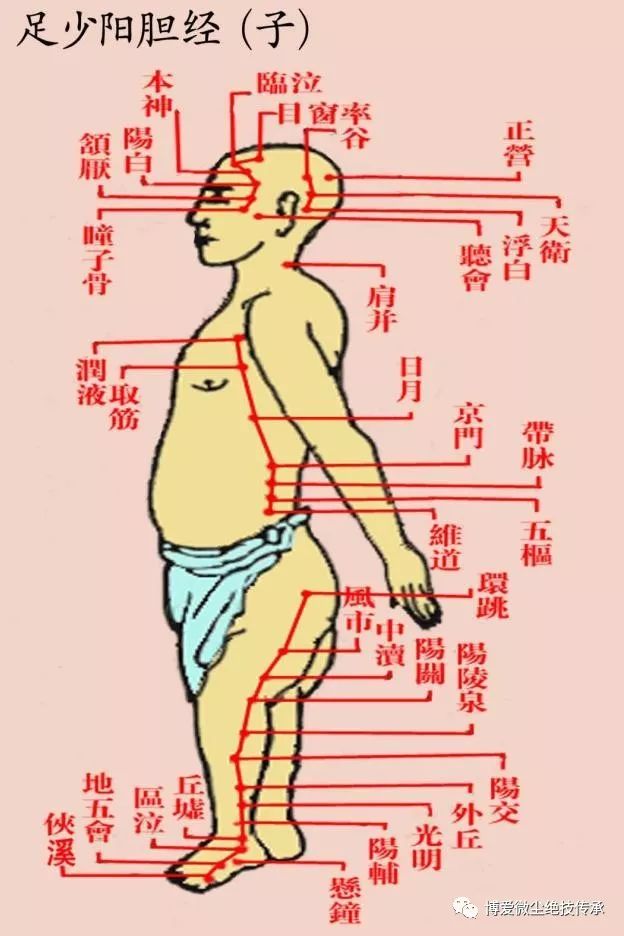 经络走向快速记忆图片