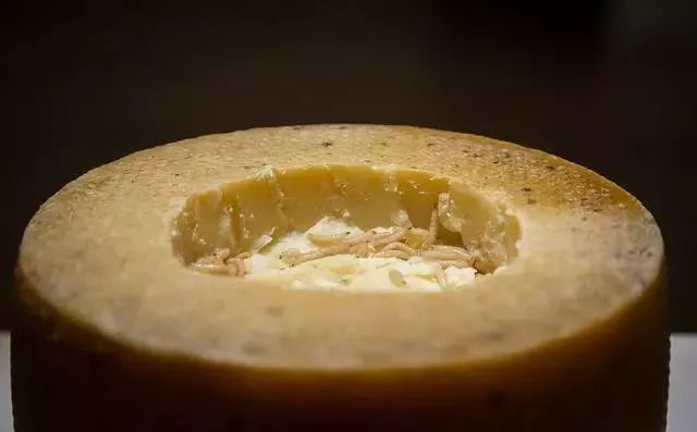 丽水人常吃的这种蛋外国人居然说不适合人类食用