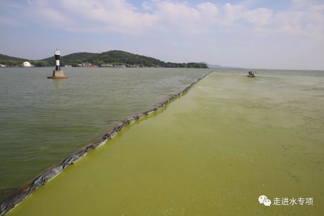 大規模漂浮藍藻的原位滅藻阱控制技術取得突破