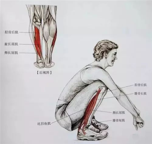 全套小腿拉伸图解让你告别萝卜腿