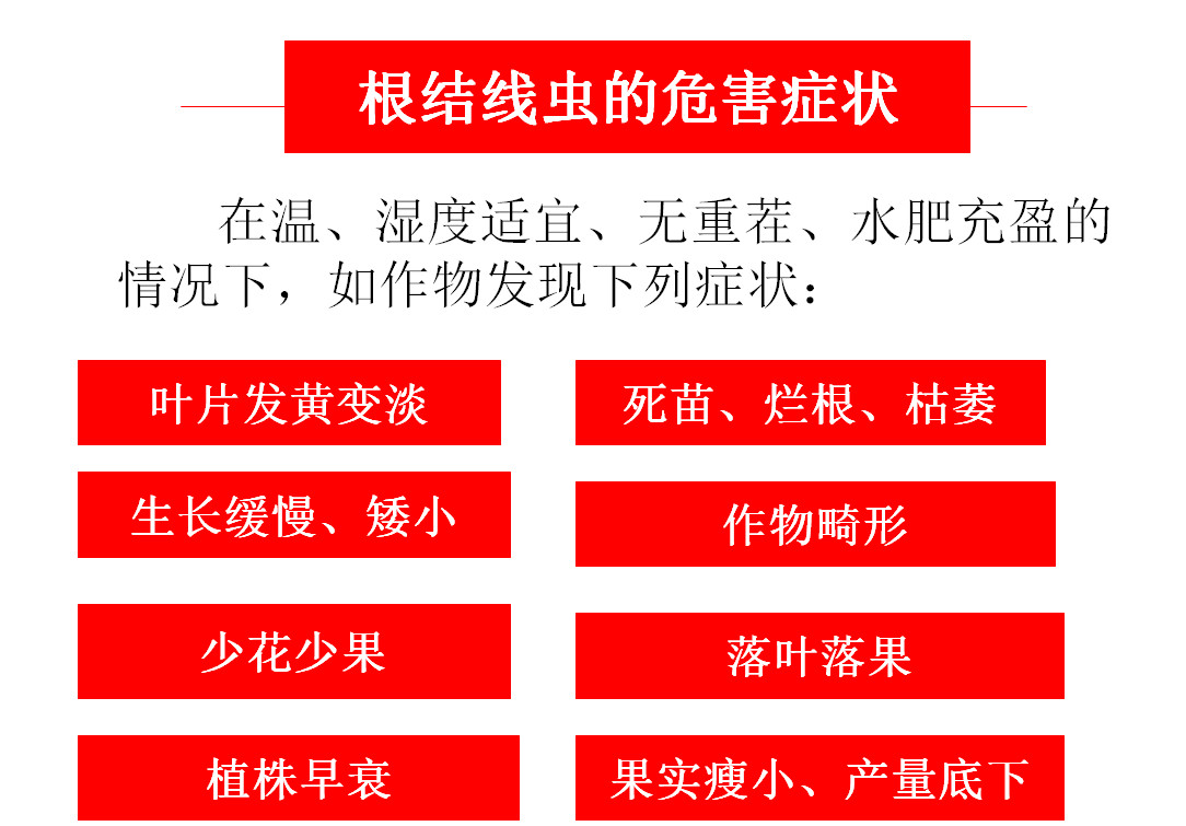 線蟲病前期往往沒有明顯症狀,容易與缺素症混