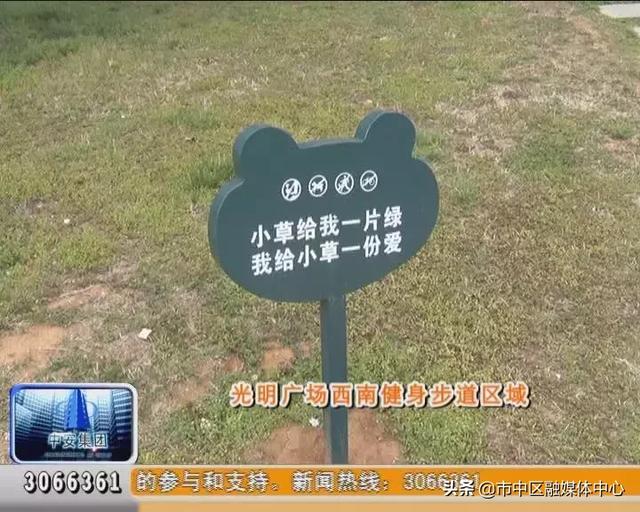 【有失文明】廣場草地被踩禿 綠化環境需愛護_草坪