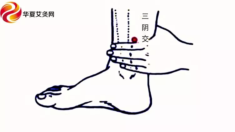 前列腺炎艾灸这几穴,为您解除男言之隐!