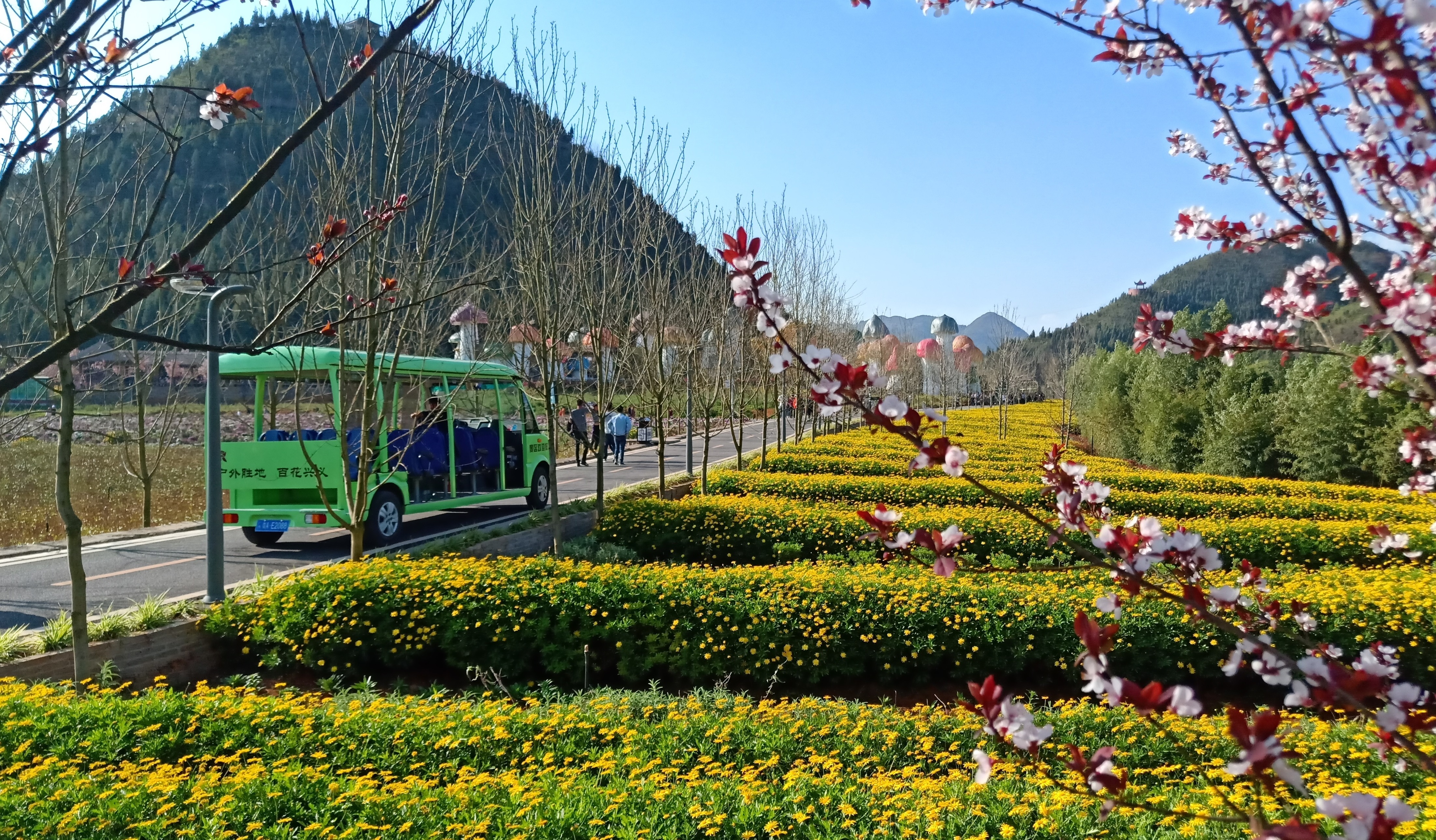 贵州黔西南这个景点风景如画,适合春天出游,你去过吗?_景区