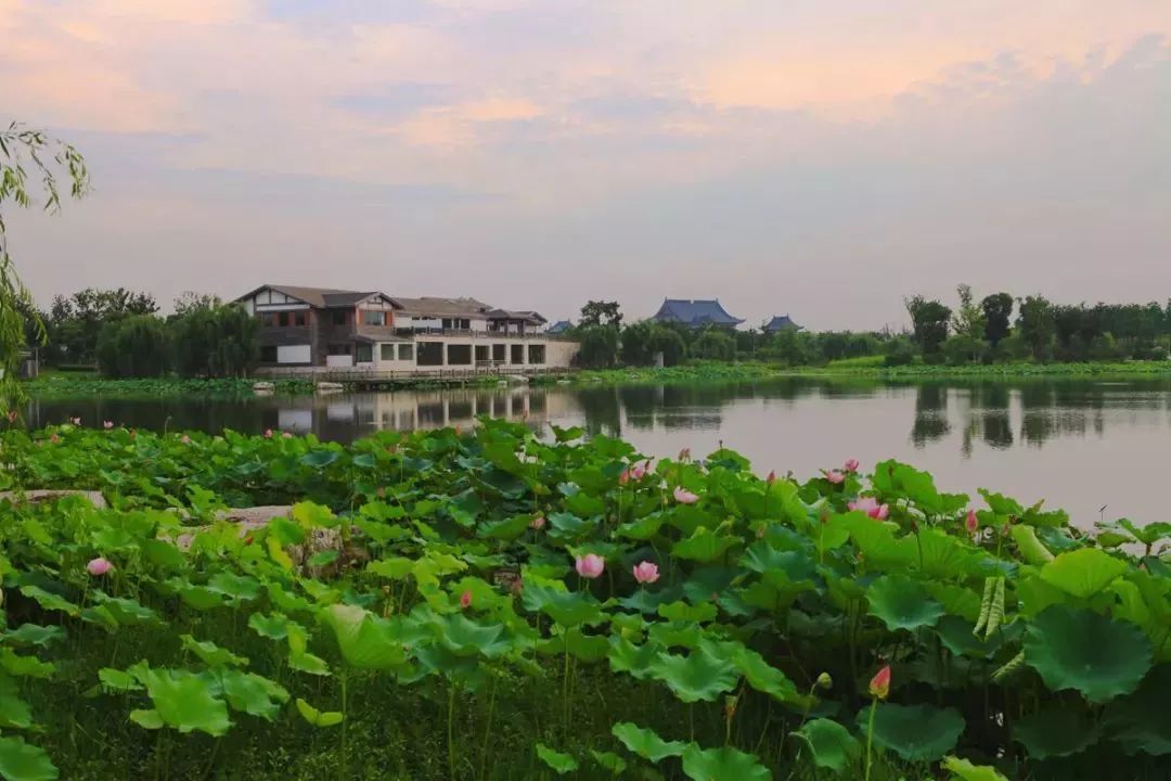 蓮池湖公園位於陽澄湖半島的核心位置,與重元寺一路之隔,通過自然