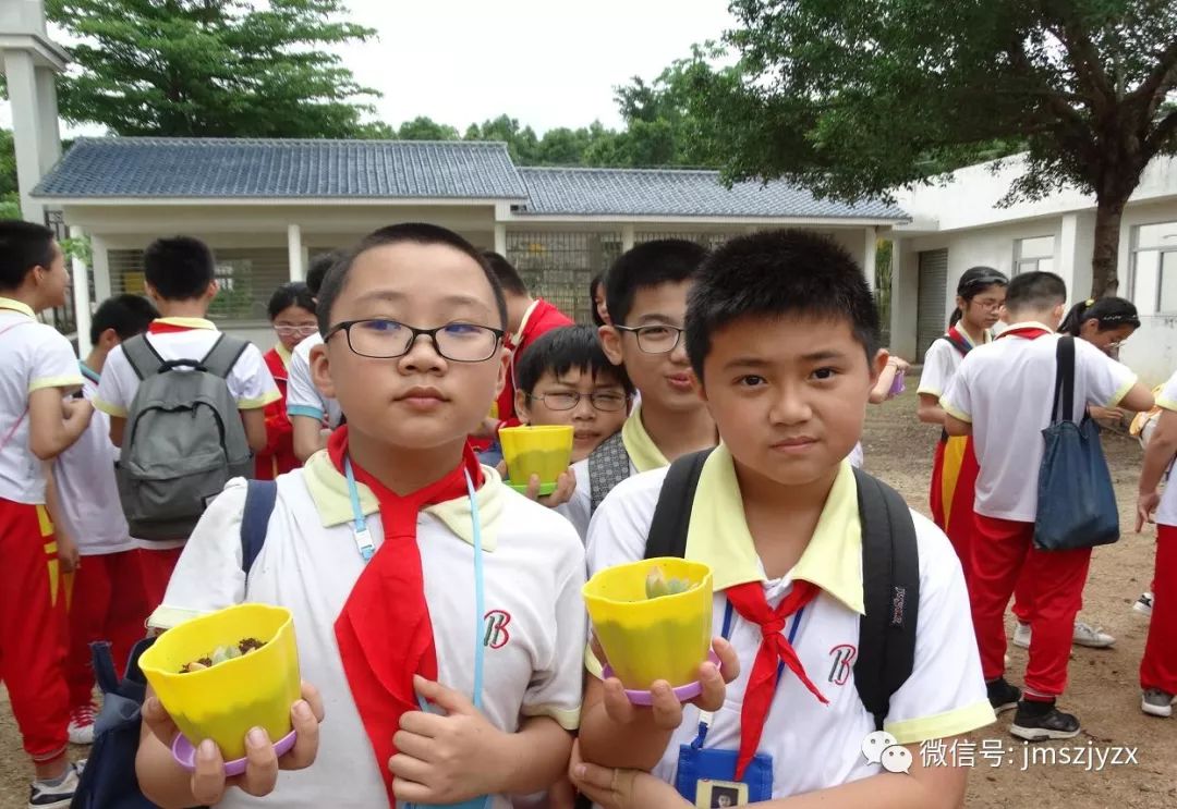 台山伯宏小学图片