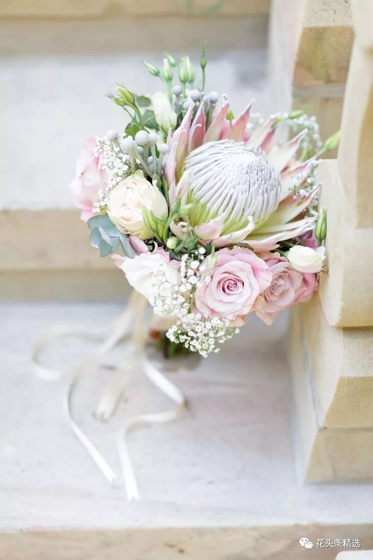 打造帝王花花束真的很简单