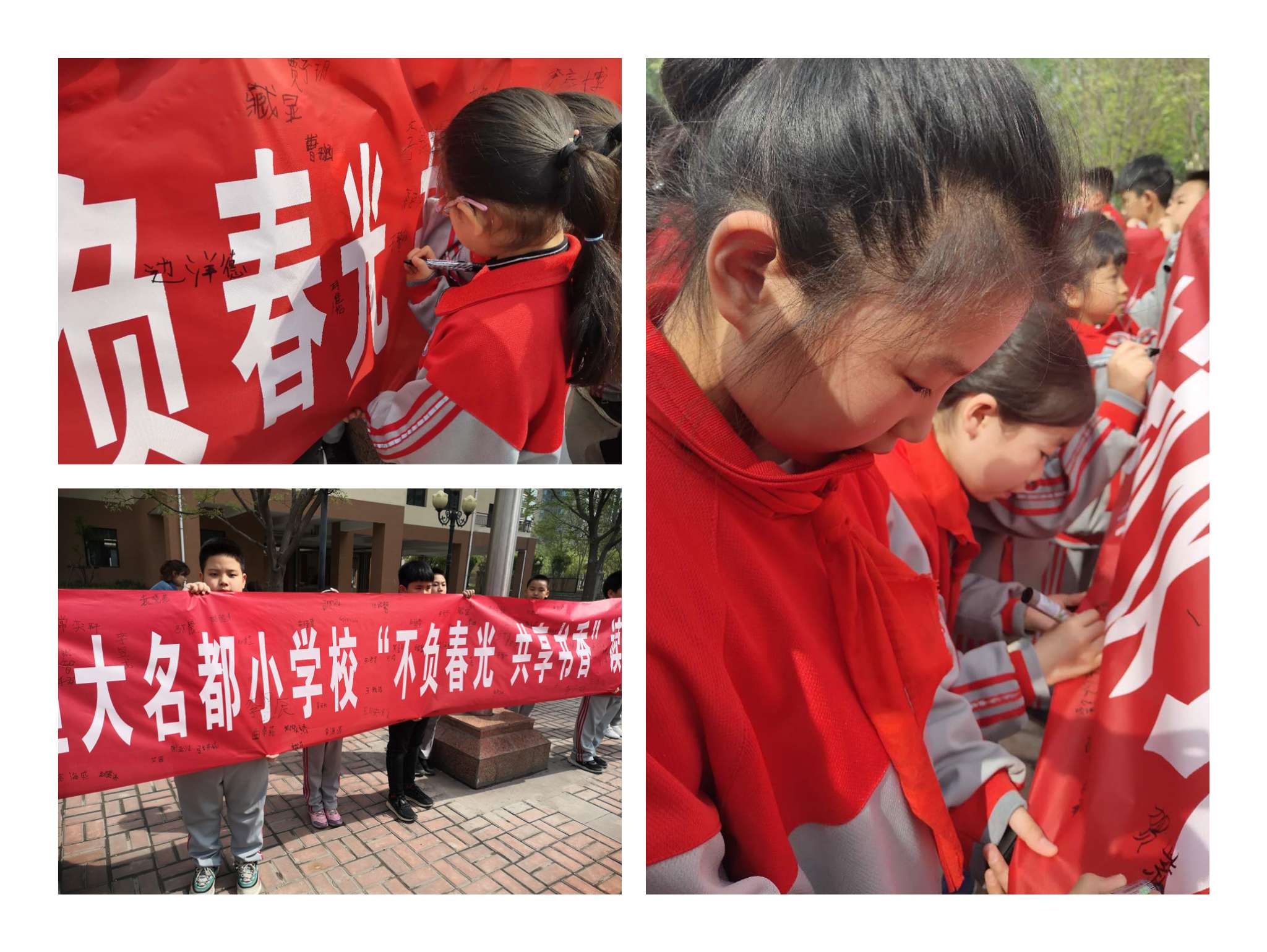 水晶小学名都学校图片