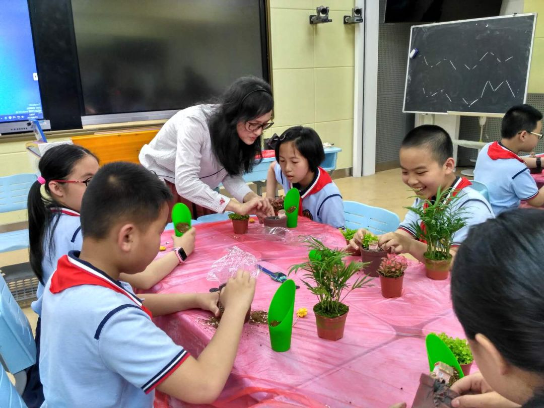 同學們自發建立班級自然角,在班主任帶領下,輪流做好小盆栽的澆水養護