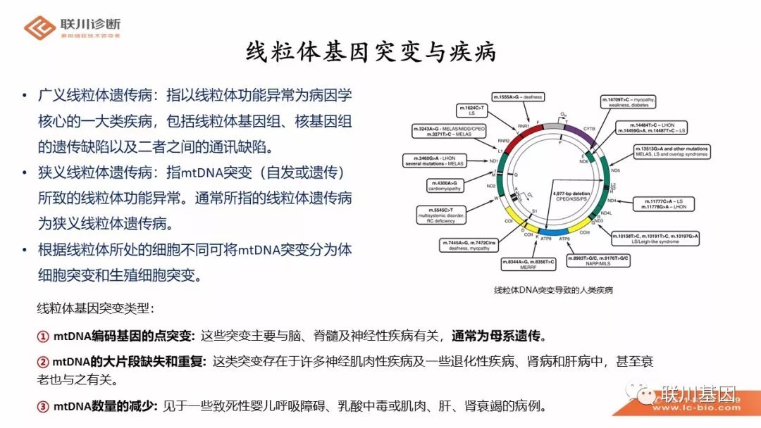 variantpro线粒体疾病基因检测panel介绍