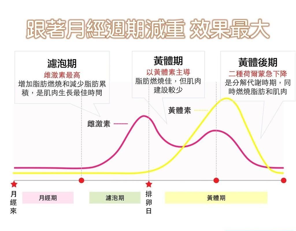 了解自己的月经让你事半功倍