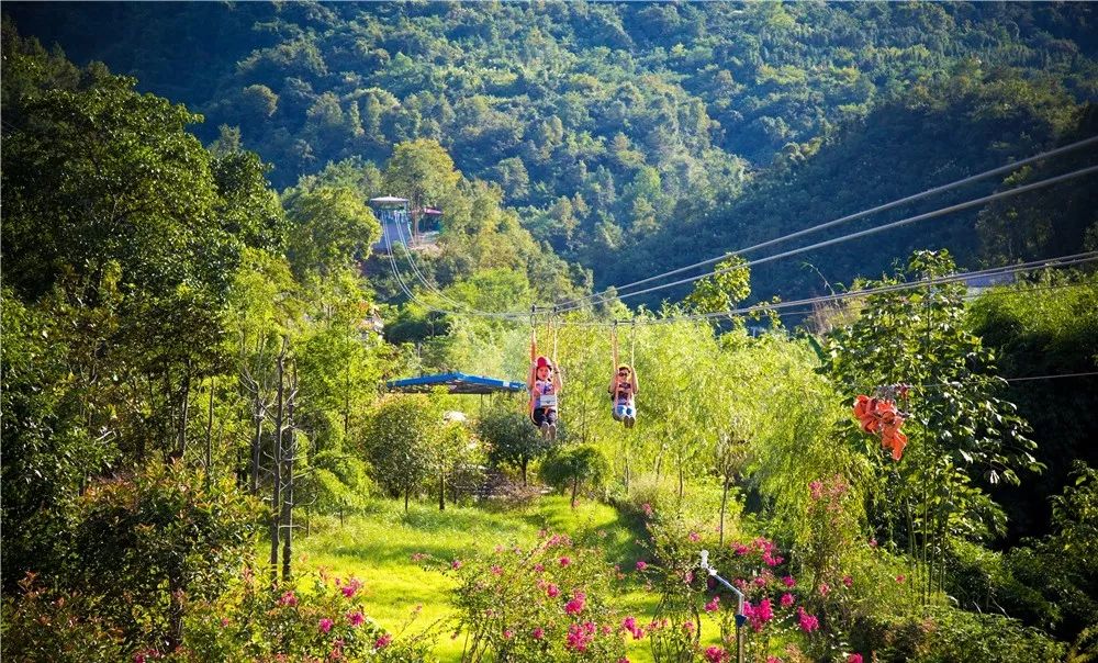 研學旅行·寓教於樂九鳳谷是宜昌市中小學生研學旅行基地,這裡古木