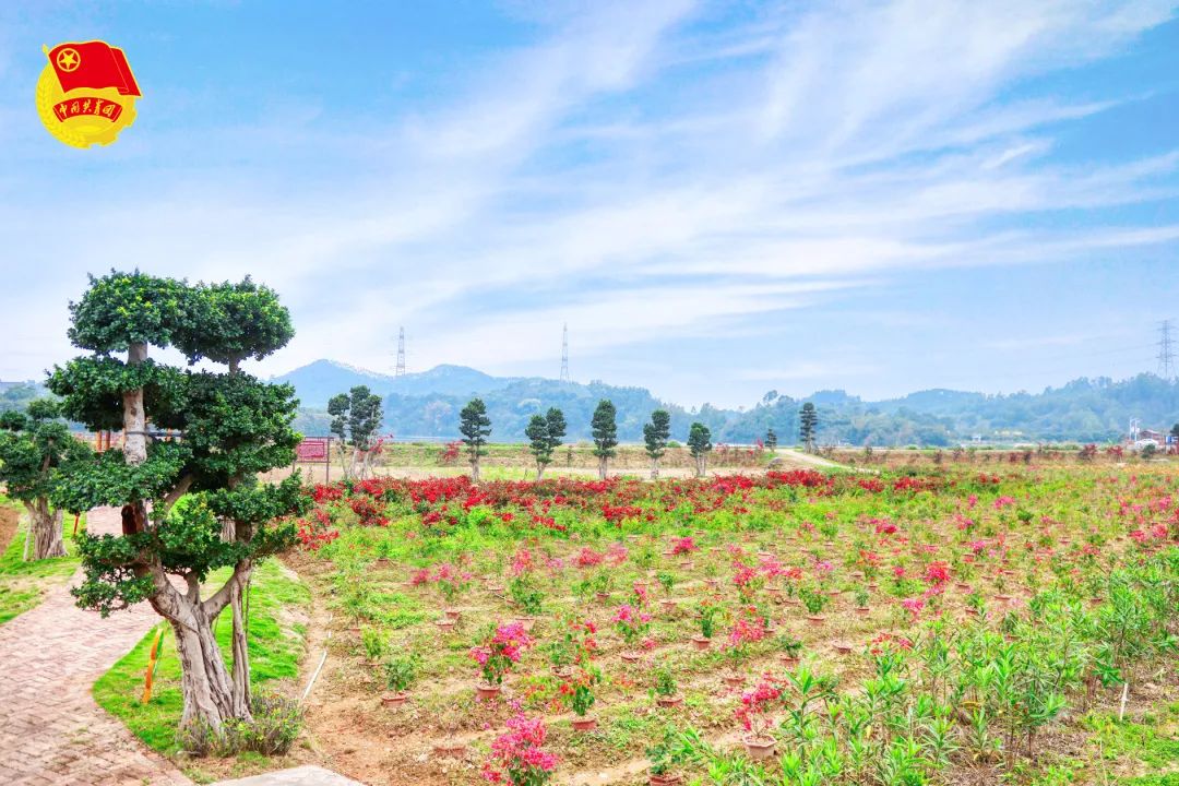 串聯東明村,溪美村等61個景點,涵蓋有