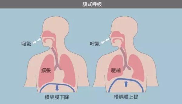 呼吸分为三大类,运动时是吸气用力还是呼气用力?