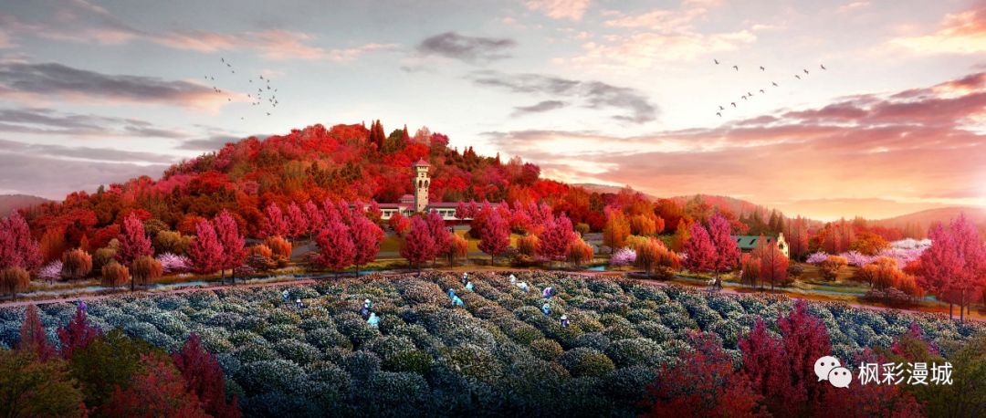 叮咚4月28日邀请您来六合竹镇踏青啦