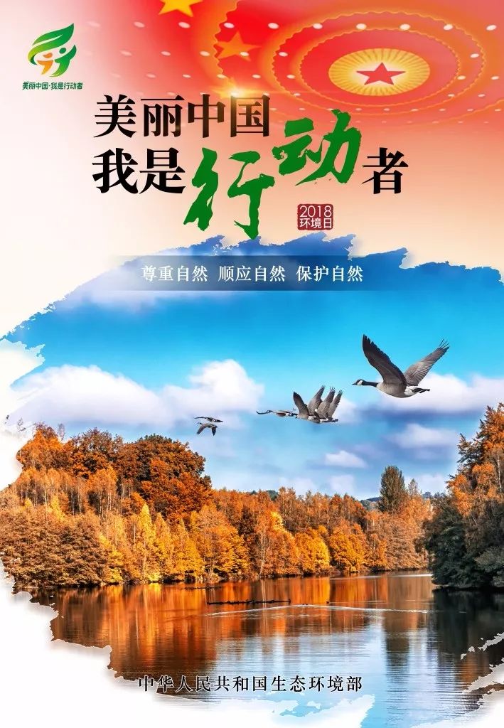 优秀生态环境宣传产品美丽中国我是行动者海报
