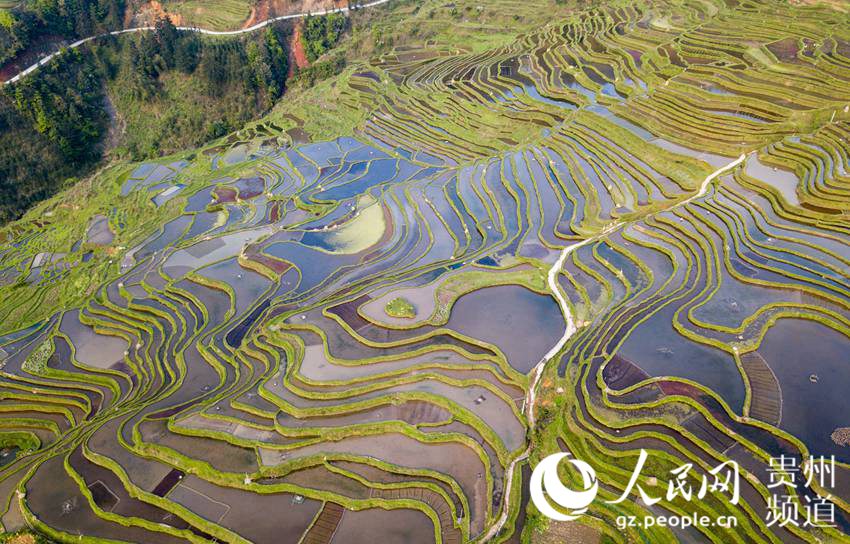 地处贵州省黔东南苗族侗族自治州从江县翠里瑶族壮族乡南岑村,岑丰村