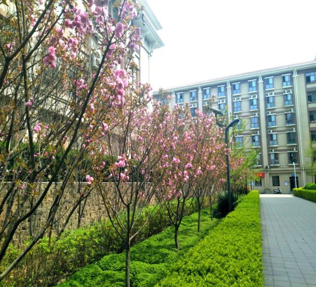 所有人 请打开这位家长暖心的校园"告白书"_郑州