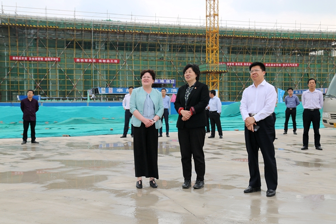 副市长路云到我县调研百城提质和森林周口绿化工作