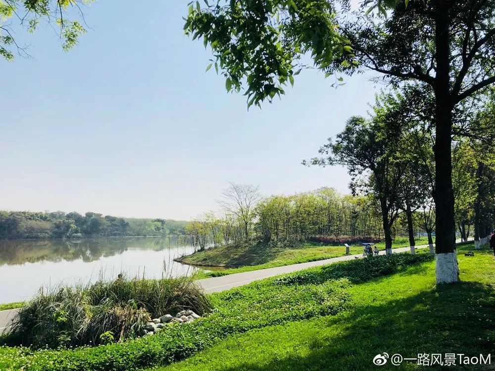 半天打來回坐上成都地鐵4號線直達最美地下宮殿網紅溼地公園