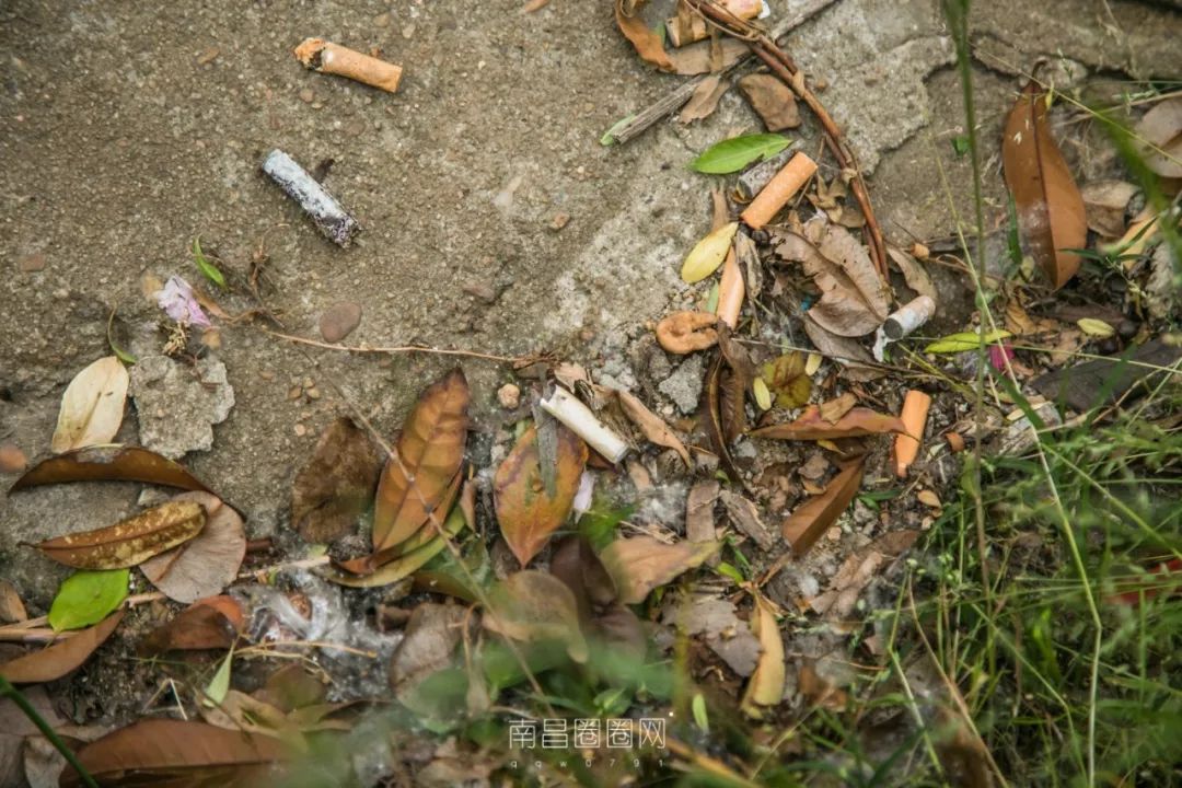 历时2小时,我们在赣江边捡了1732个烟头._垃圾