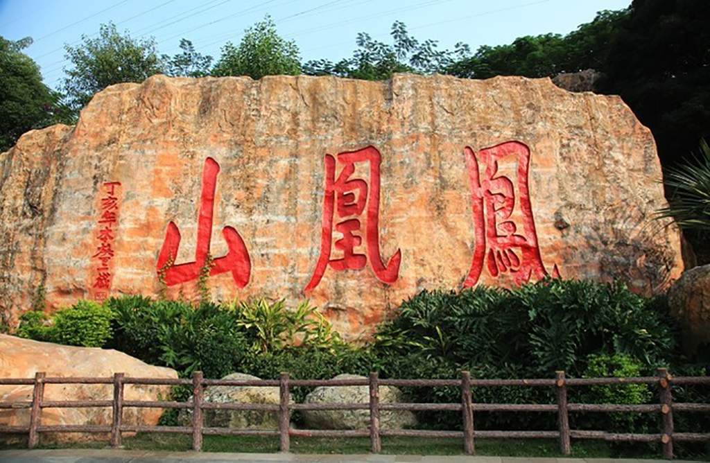 在深圳可不去世界之窗但不可错过凤凰山森林公园一览宝安景色