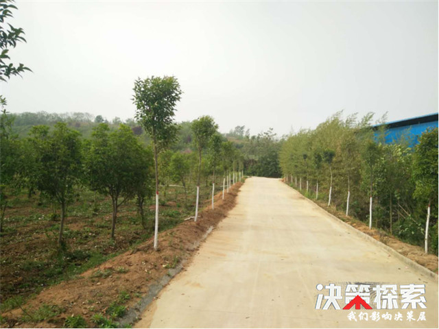 内乡县湍东镇南庄村乡村振兴的样板