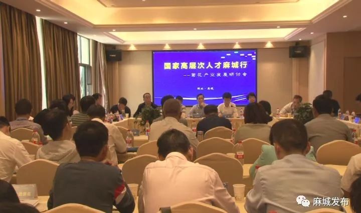 麻城这场高层次人才的聚会很有看头