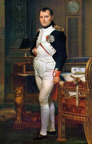 拿破仑的丁丁图片