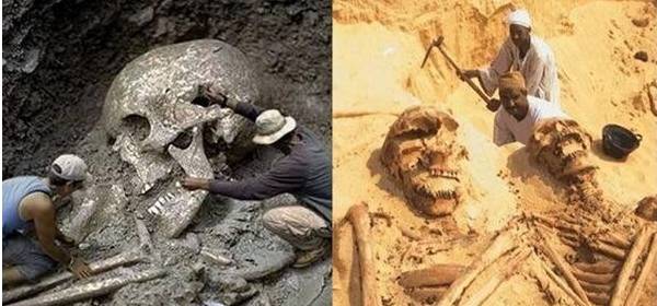 被大禹杀掉的防风氏有近5米高现今发现的巨人化石都是伪造吗