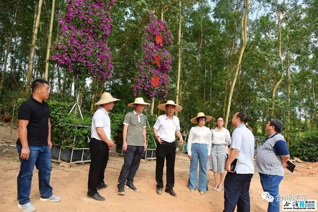 合浦县委书记杨斌到石湾镇大田村调研大田花谷乡村旅游区建设