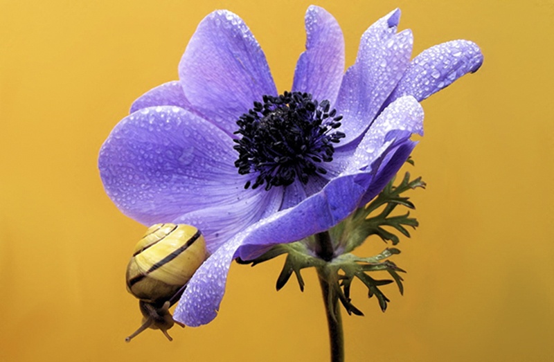 原创什么是互补色摄影作品中互补色如何应用