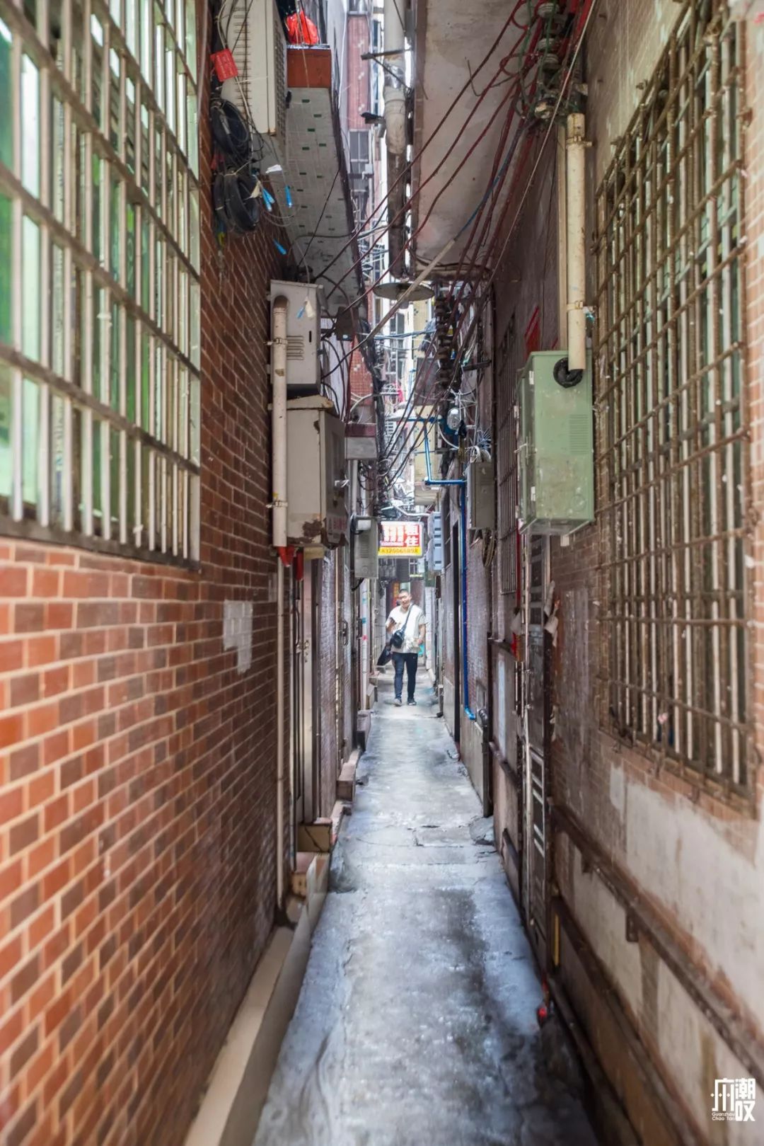 真羡慕住在天河棠下的人