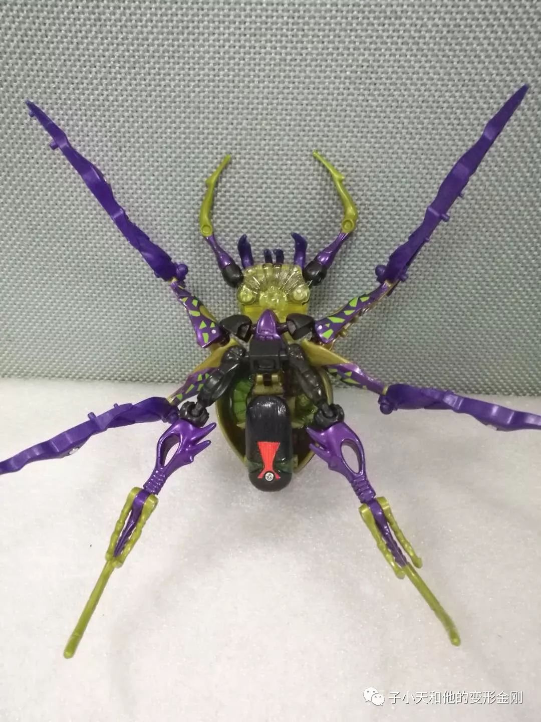 评玩具子小天粑粑总测评变形金刚猛兽侠黑寡妇这应该是官方目前做的最