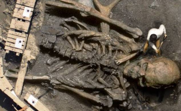 被大禹杀掉的防风氏有近5米高现今发现的巨人化石都是伪造吗